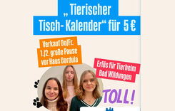 Tierischer Tier-Kalender für den guten Zweck